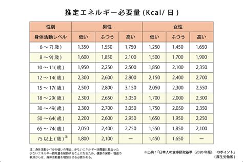 筋トレ カロリー不足：筋肉とエネルギーの微妙なバランス